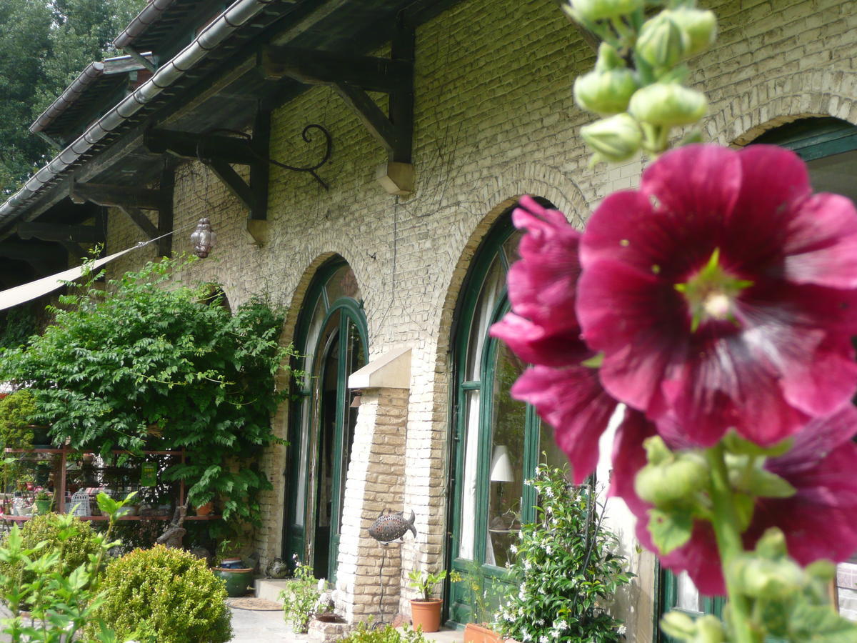 Manoir De Bois En Ardres Acomodação com café da manhã Exterior foto